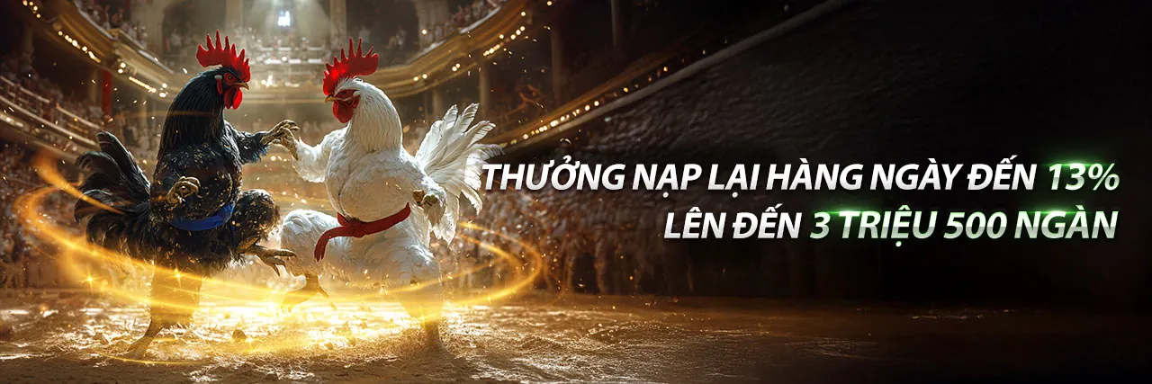 Hình ảnh đại diện Điều khoản Dịch vụ của EU9VN Win